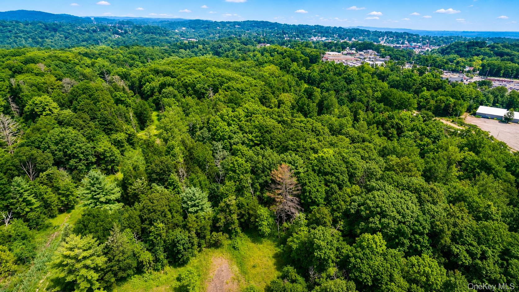 3 Deer Run West Property Photo 20