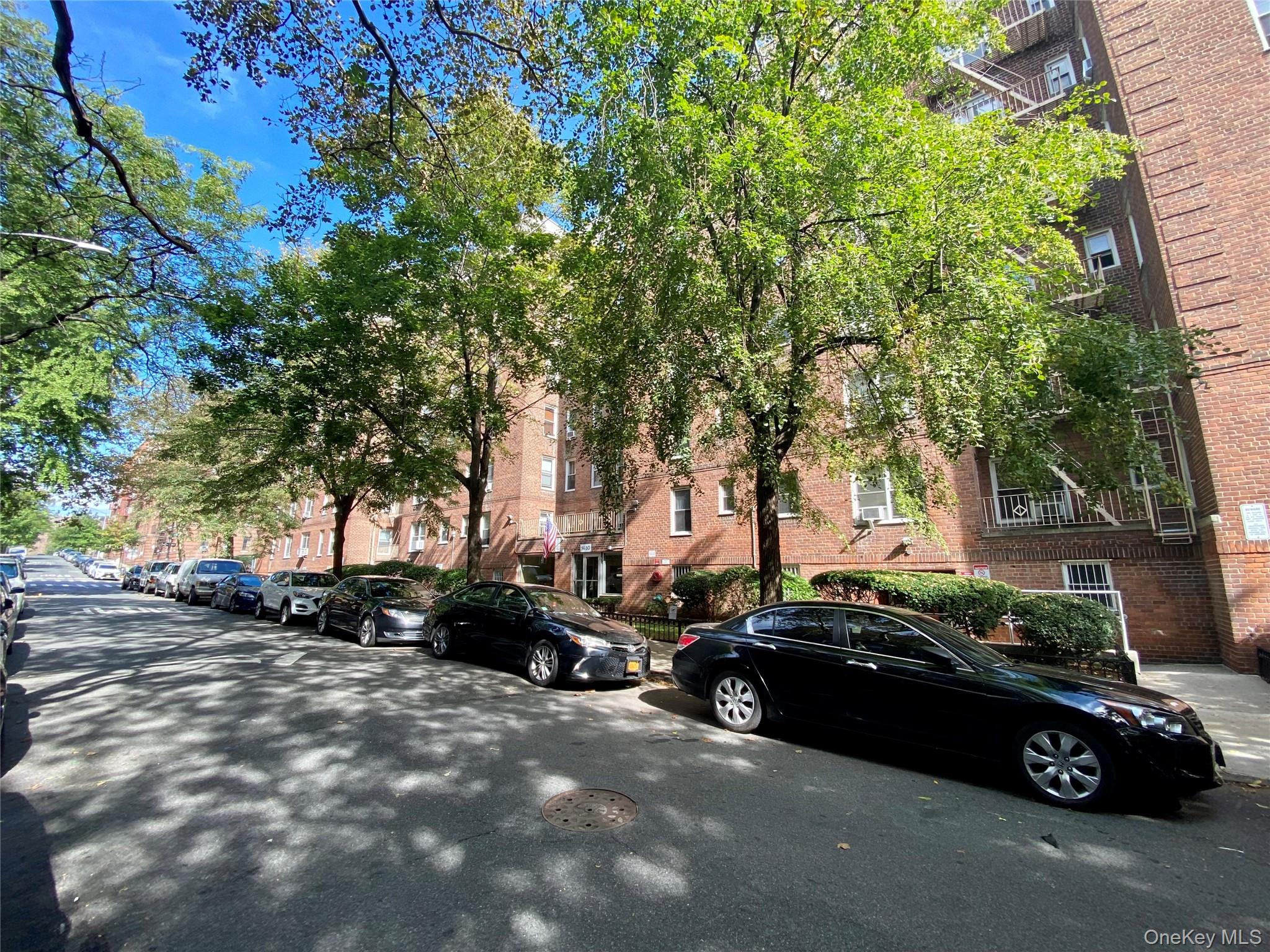 1425 Thieriot Avenue 6m Property Photo 2