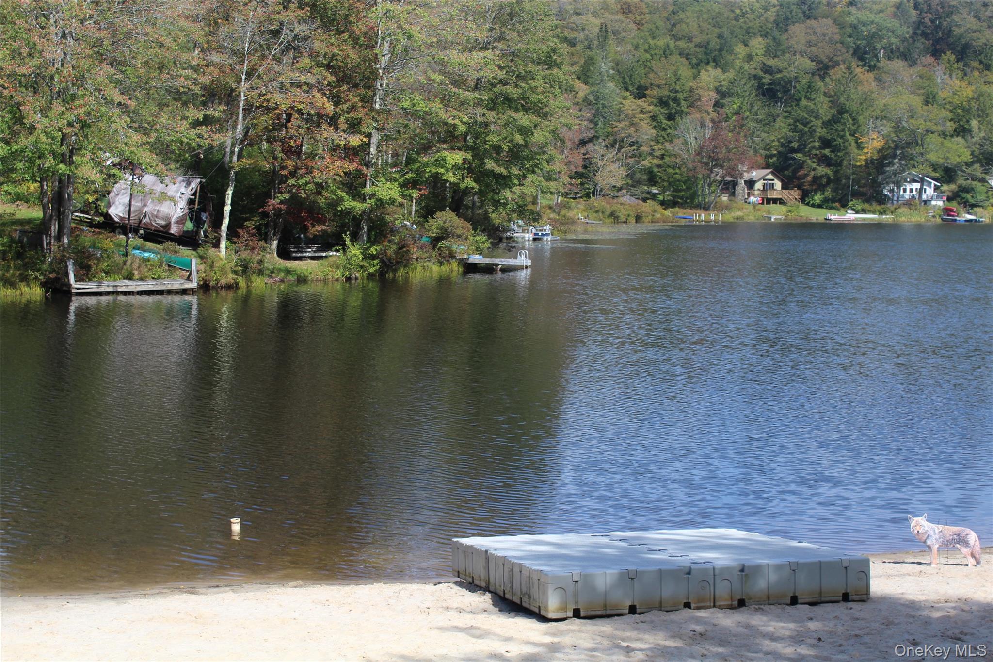 Trout Brook Road Property Photo 4