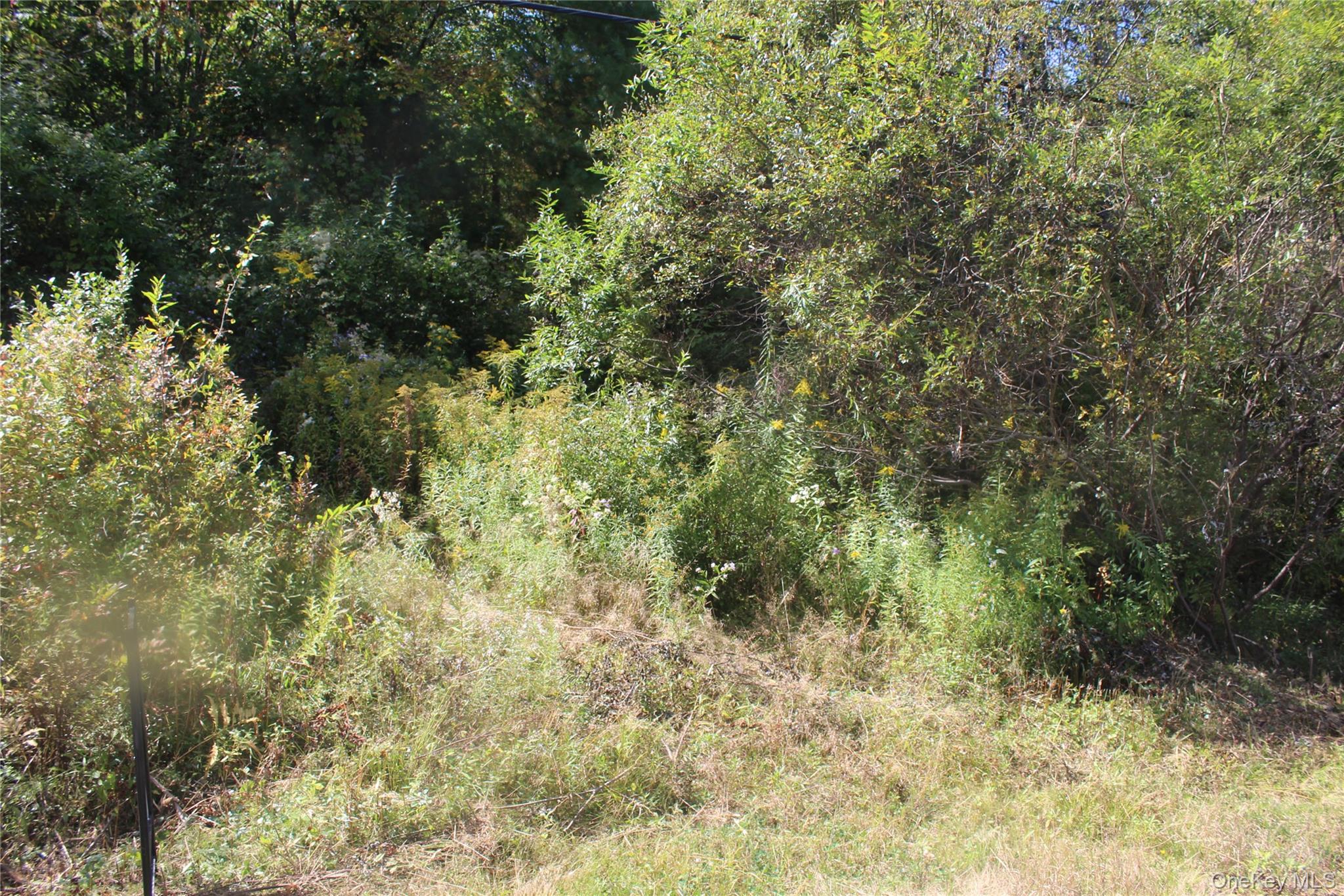 Trout Brook Road Property Photo 5