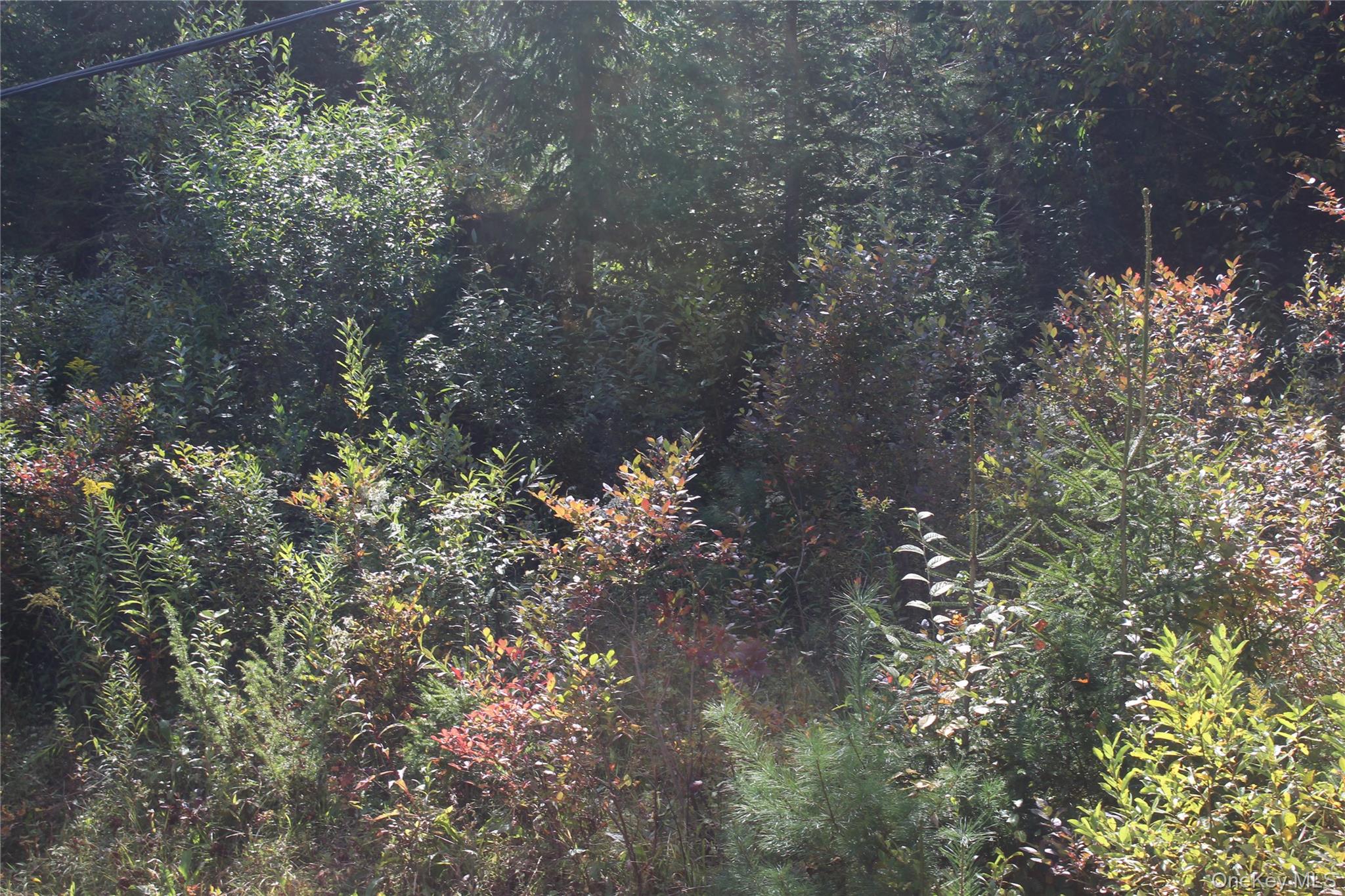 Trout Brook Road Property Photo 7