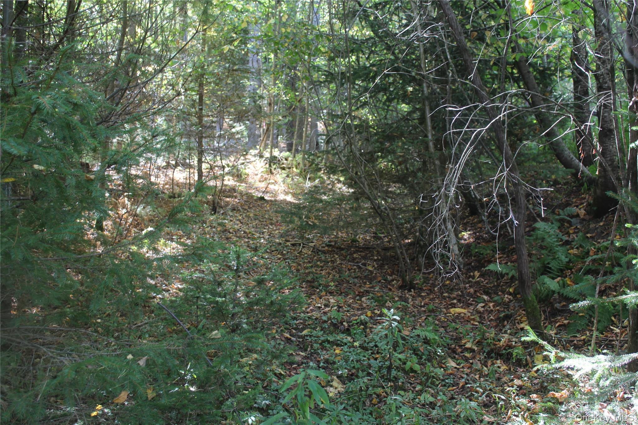 Trout Brook Road Property Photo 8