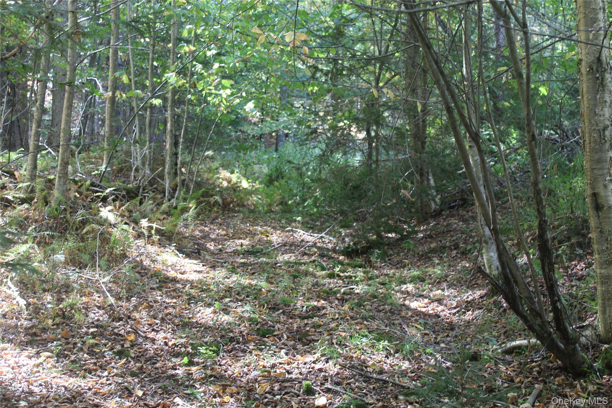 Trout Brook Road Property Photo 9