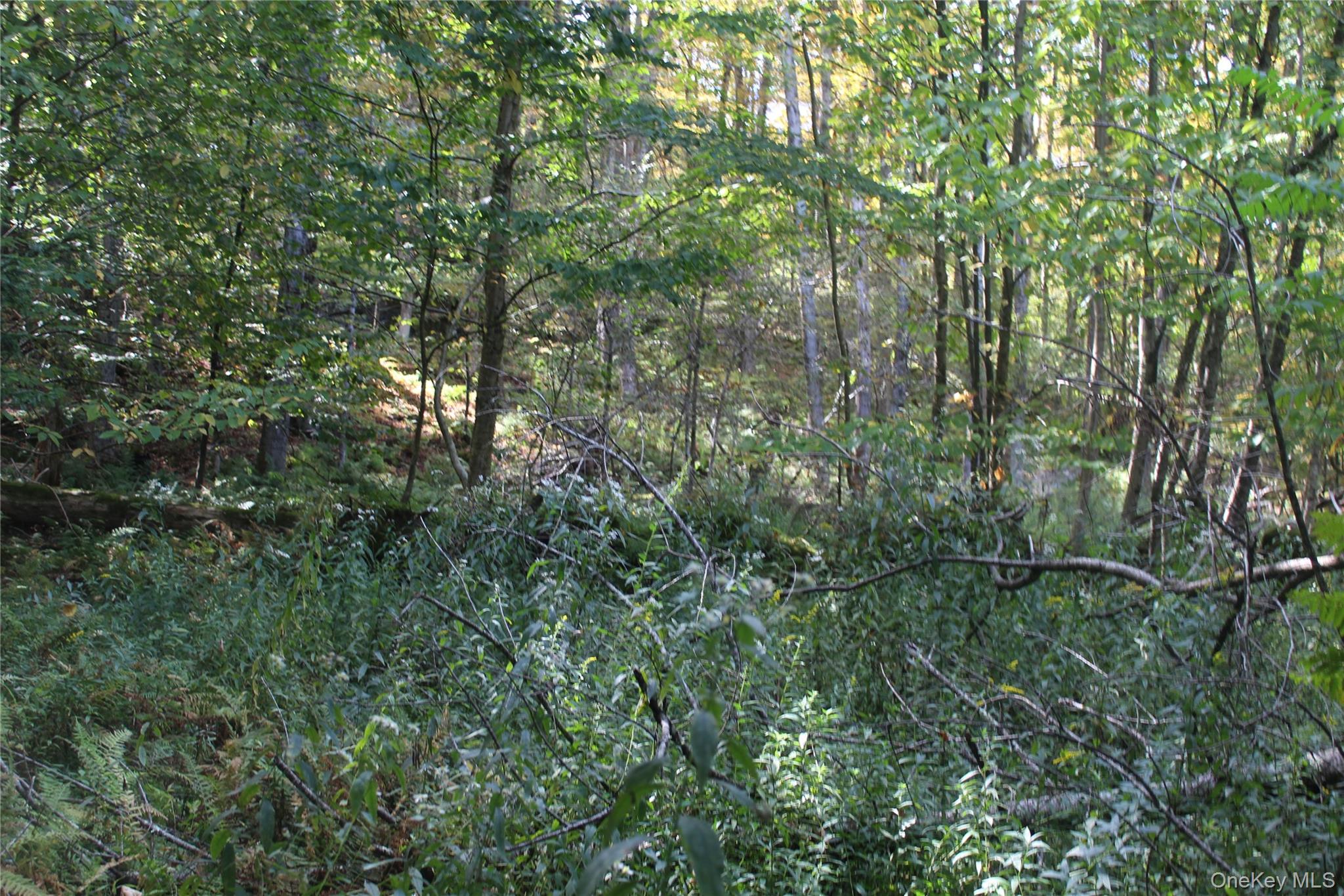 Trout Brook Road Property Photo 10