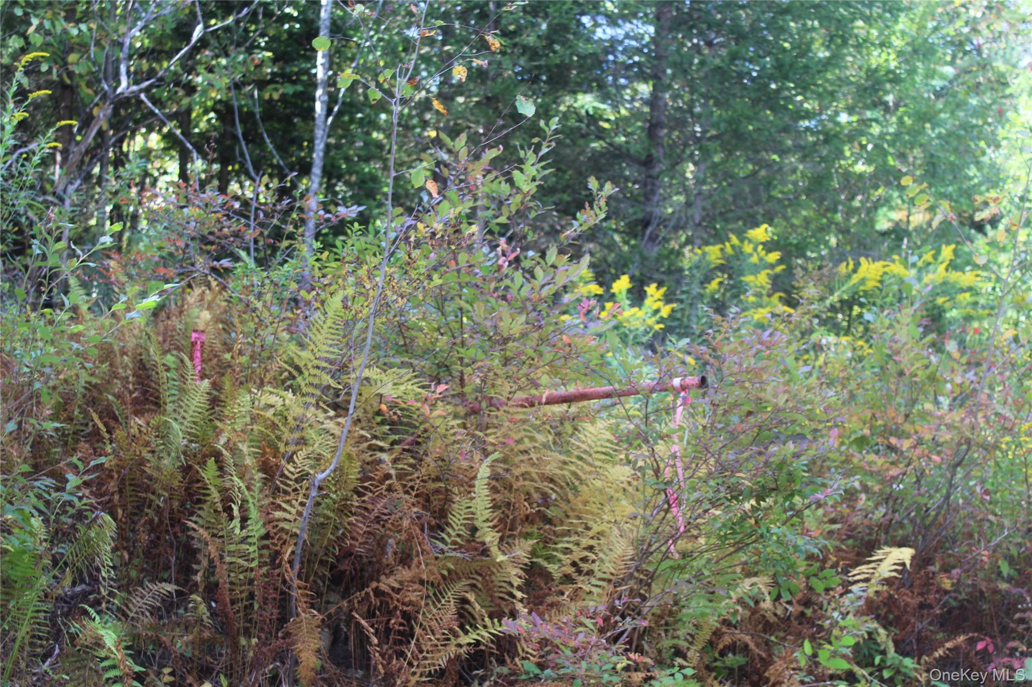 Trout Brook Road Property Photo 11