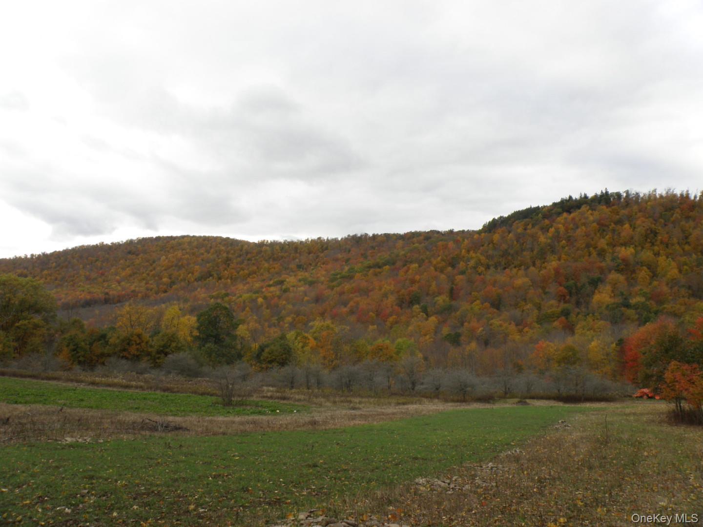 Gregory Hollow Road Property Photo 1