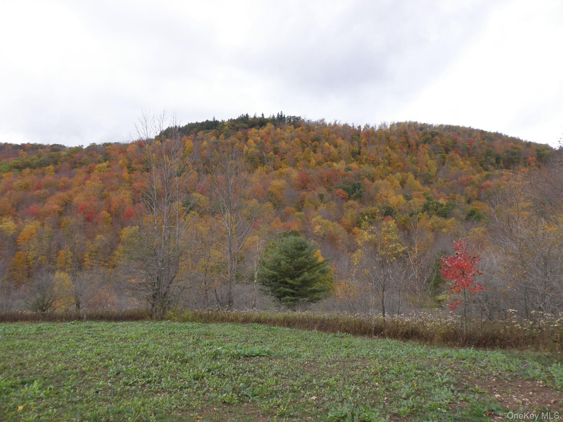 Gregory Hollow Road Property Photo 2
