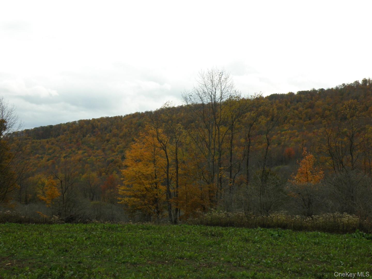 Gregory Hollow Road Property Photo 3