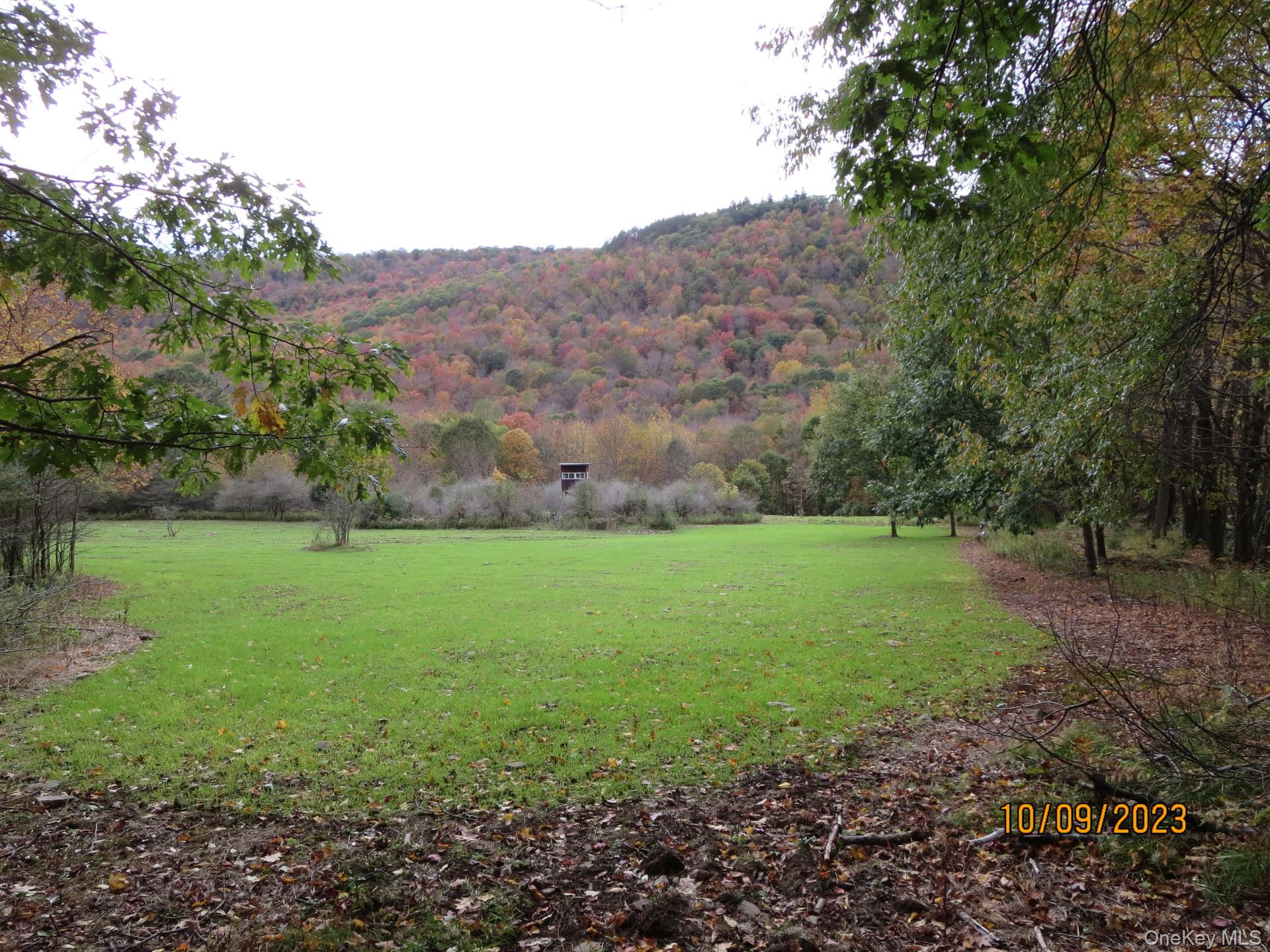 Gregory Hollow Road Property Photo 7