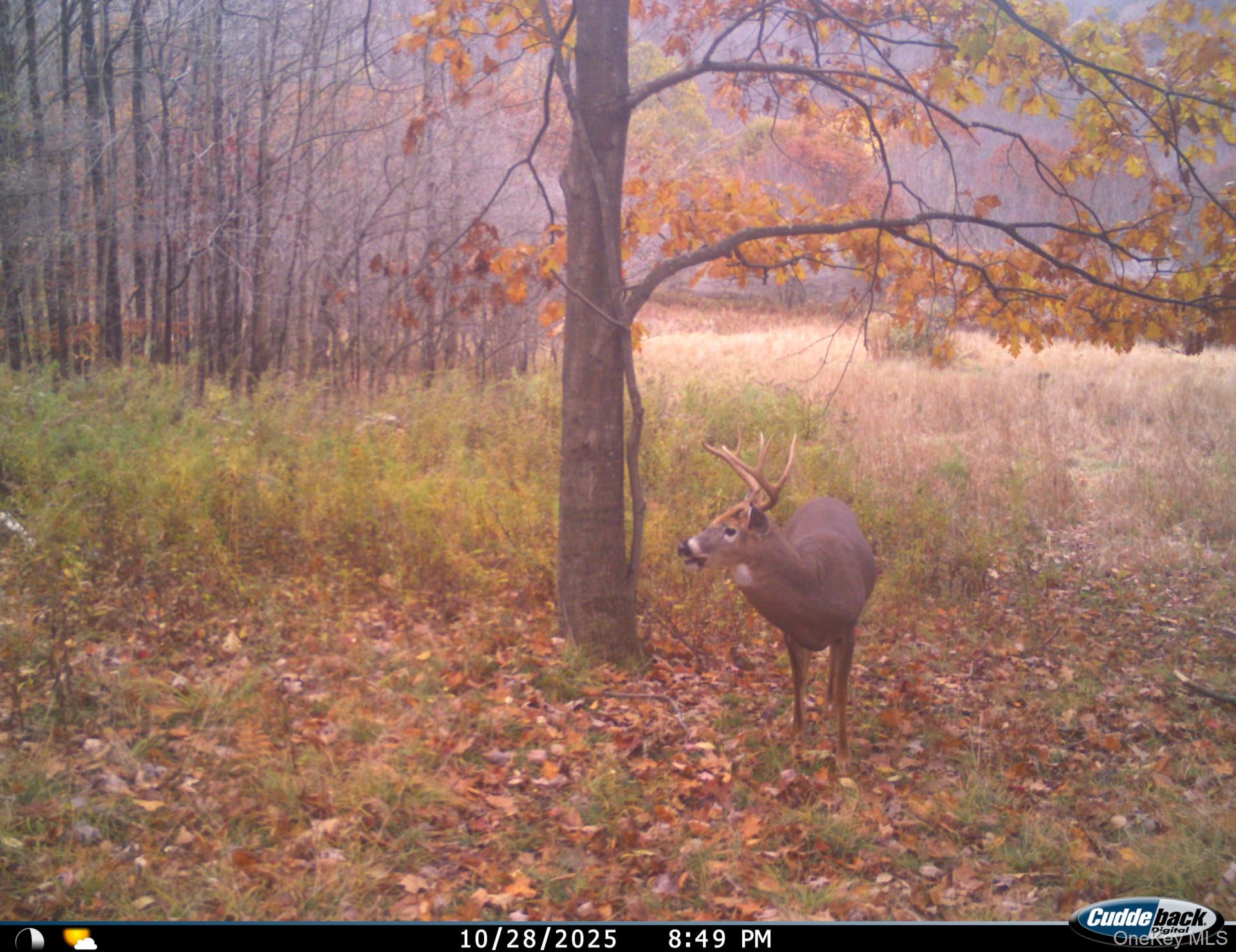 Gregory Hollow Road Property Photo 8
