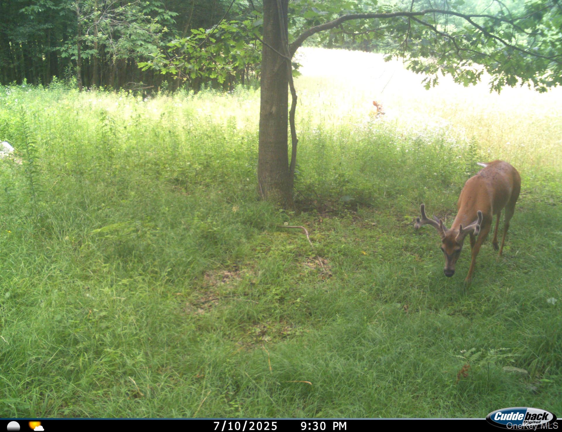 Gregory Hollow Road Property Photo 9