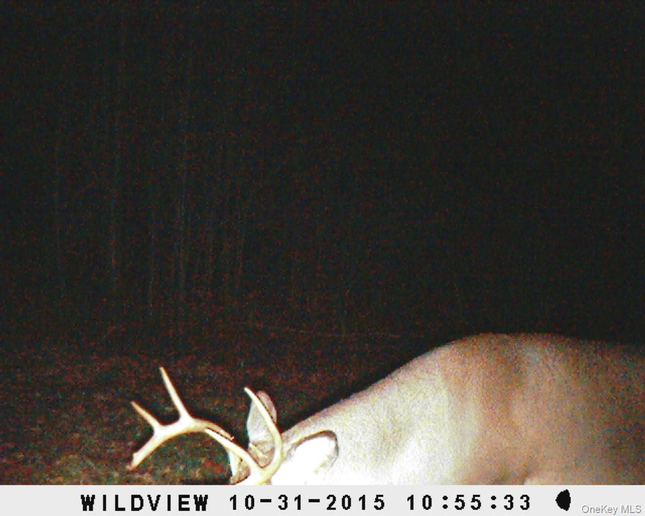Gregory Hollow Road Property Photo 20