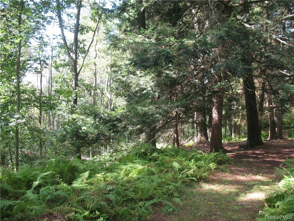 441 Hollow Road Property Photo 6