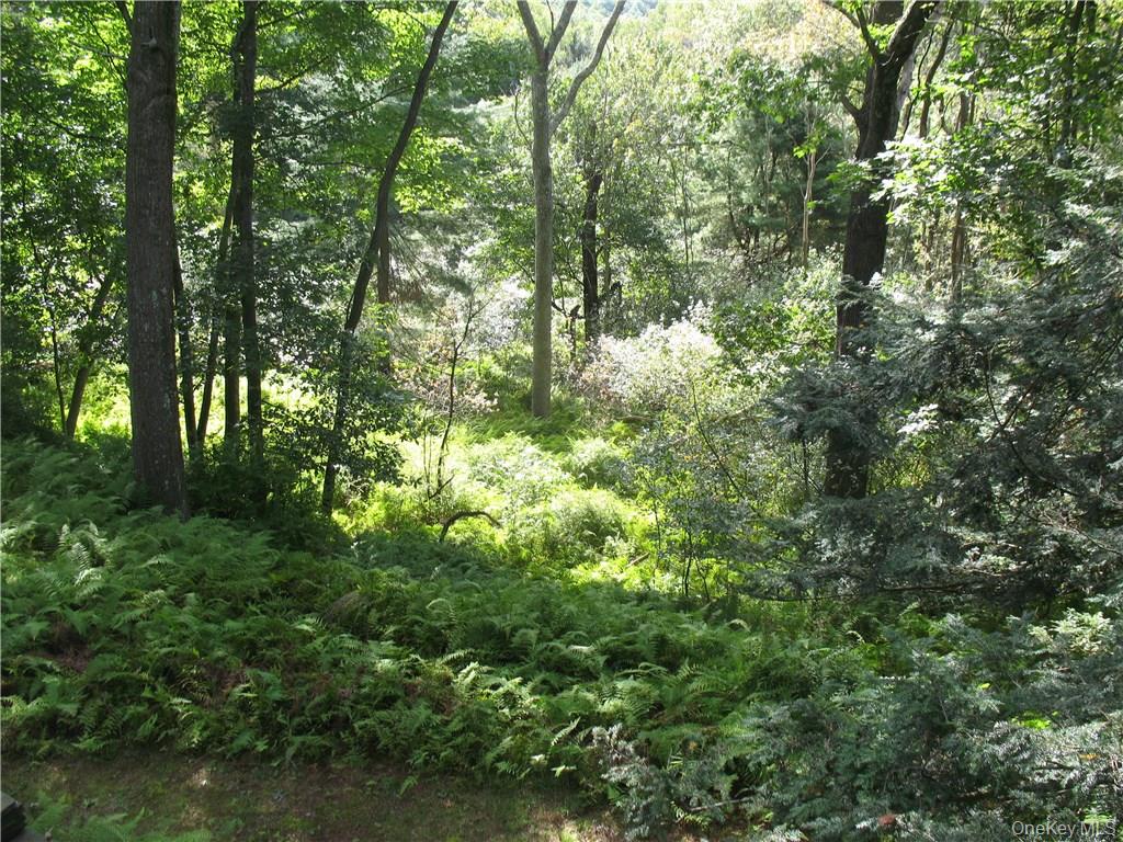 441 Hollow Road Property Photo 7
