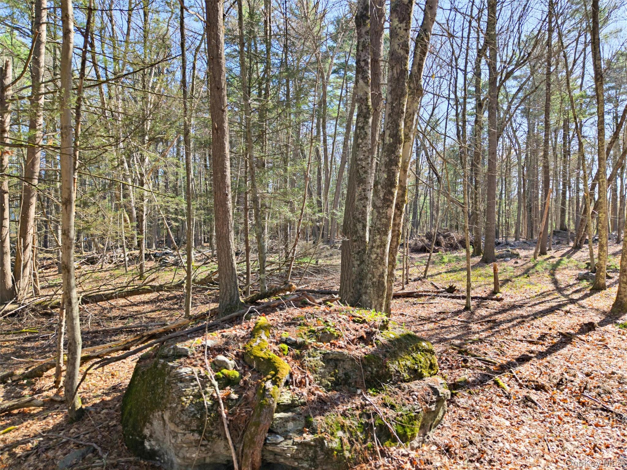 Crawford Road Property Photo 6