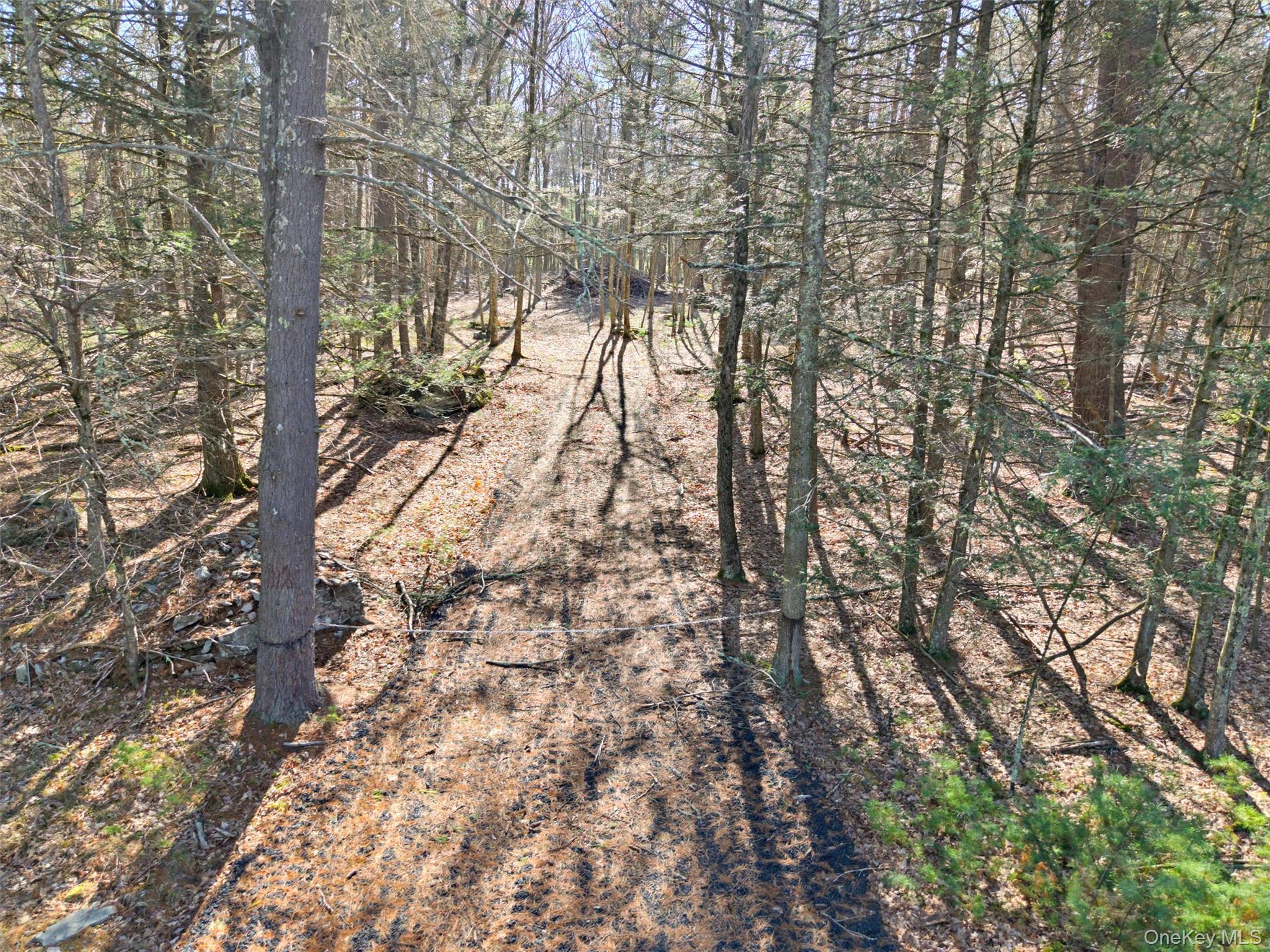 Crawford Road Property Photo 7