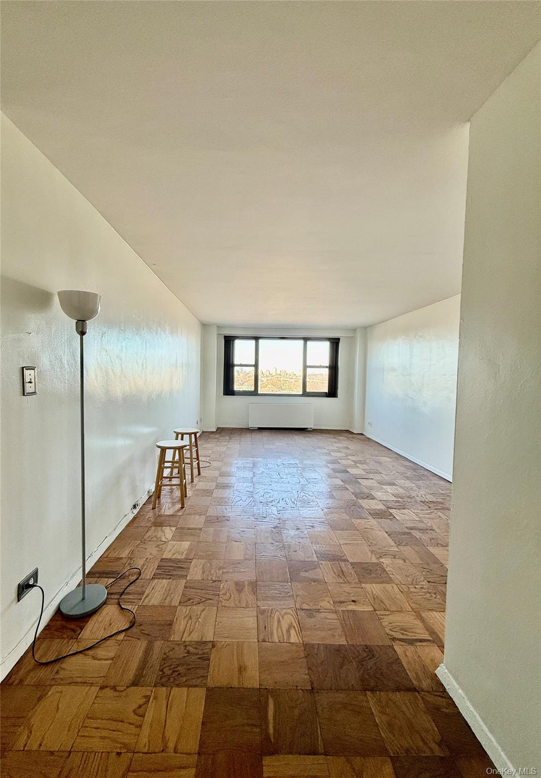 61-20 Grand Central Parkway Property Photo 8