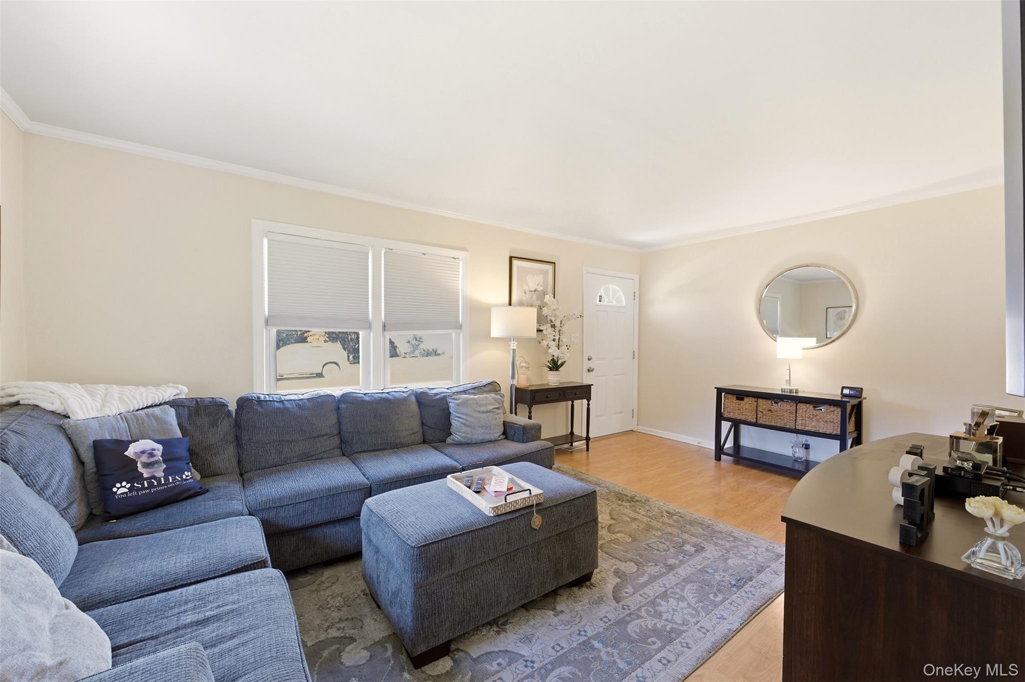 1155 Delmar Avenue Property Photo 4