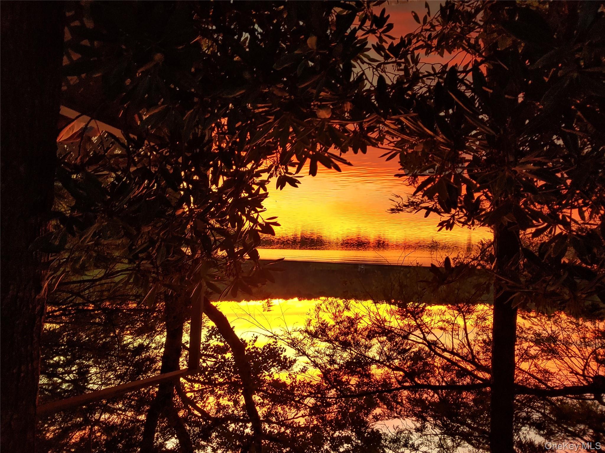 106 Park Drive Property Photo 21