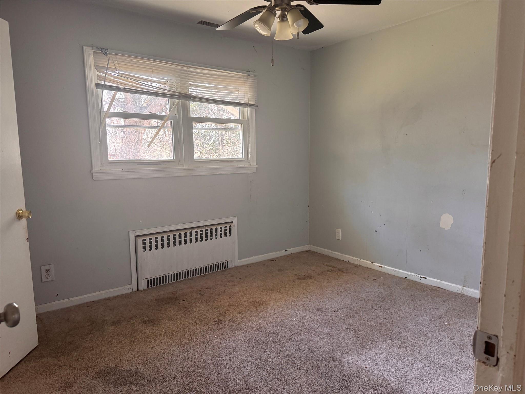 116 Williams Avenue 101 Property Photo 13