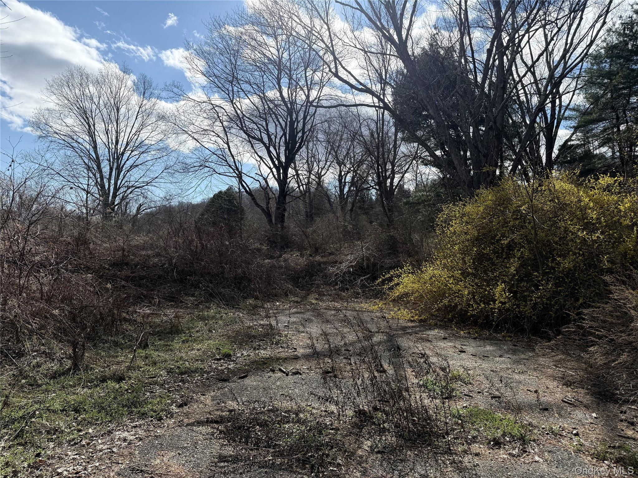 5019 Route 22 Property Photo 5