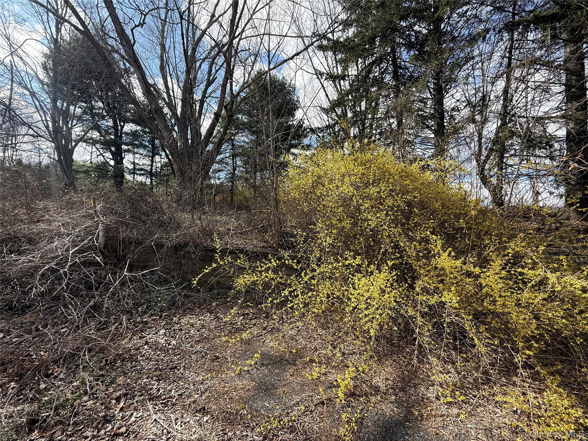 5019 Route 22 Property Photo 6