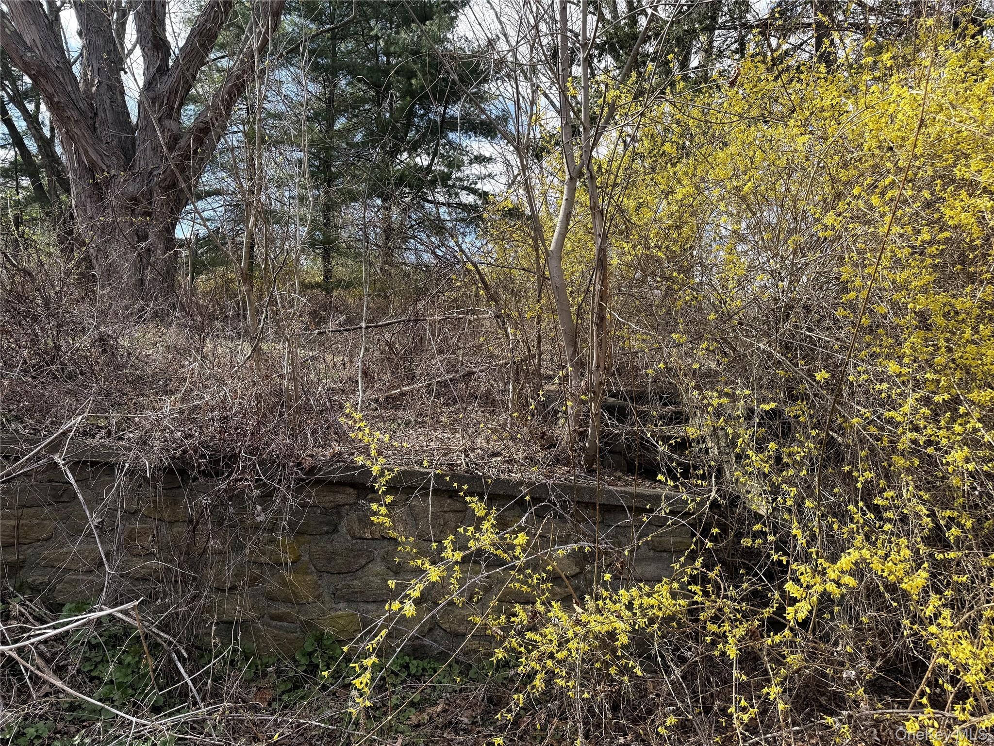 5019 Route 22 Property Photo 7