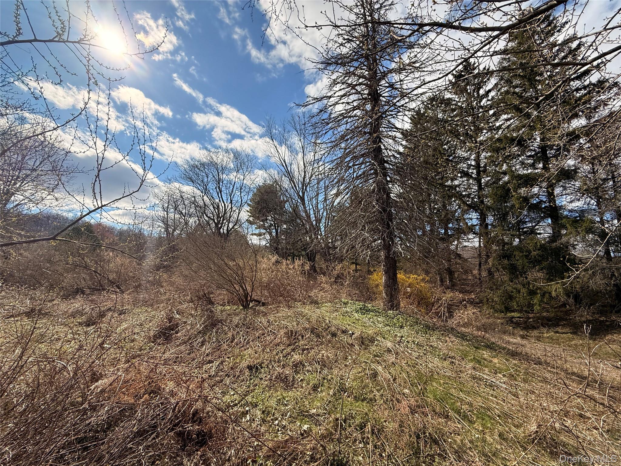 5019 Route 22 Property Photo 8