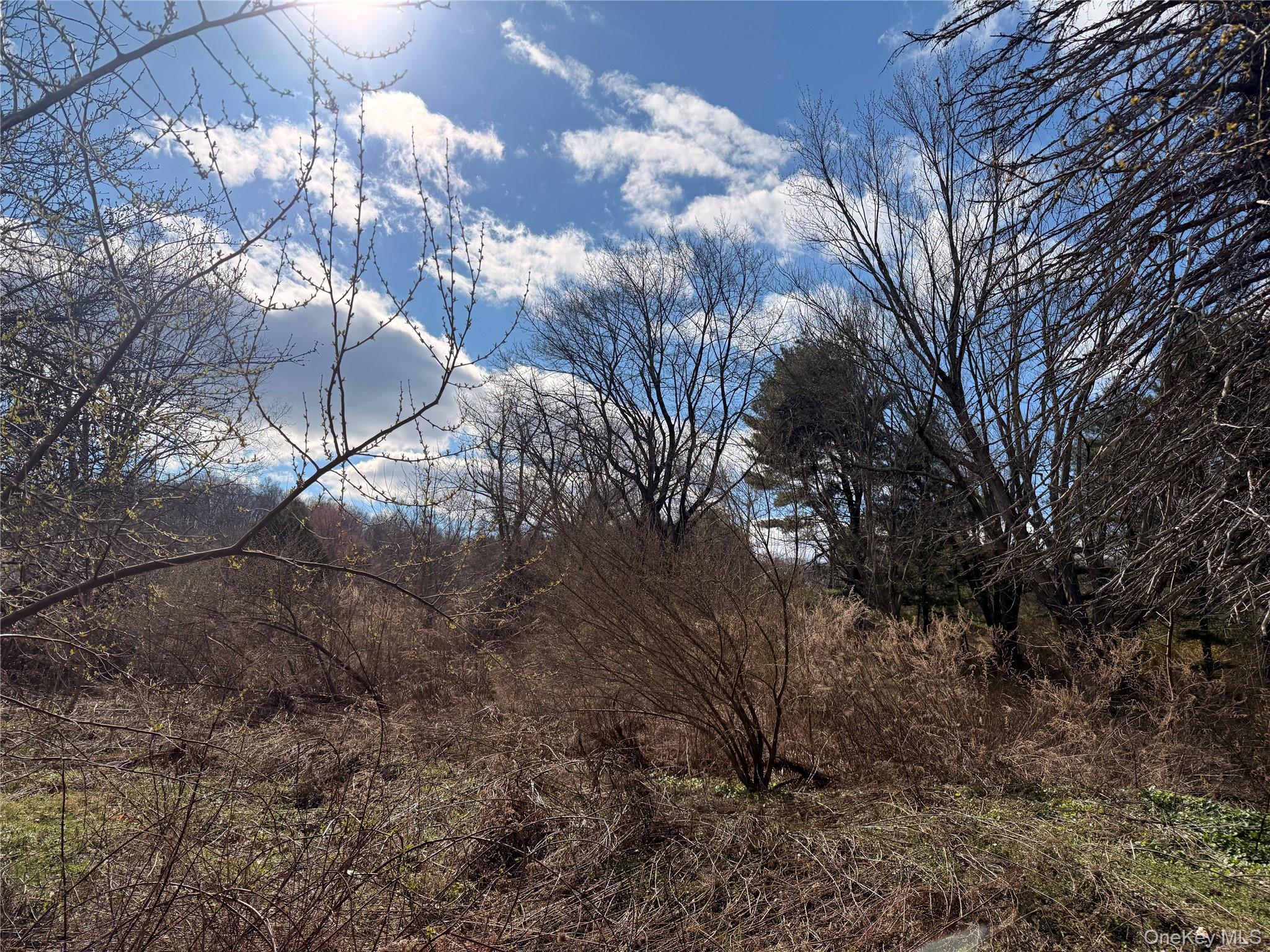 5019 Route 22 Property Photo 9