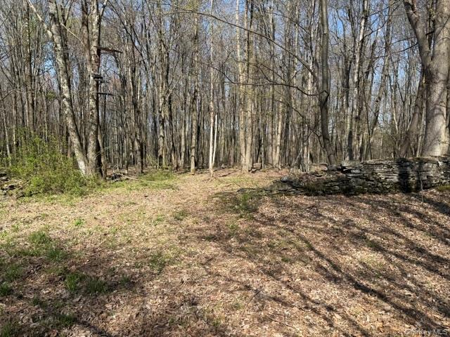 Chaffee Property Photo 3
