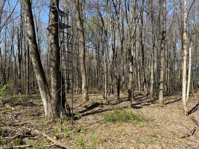 Chaffee Property Photo 4