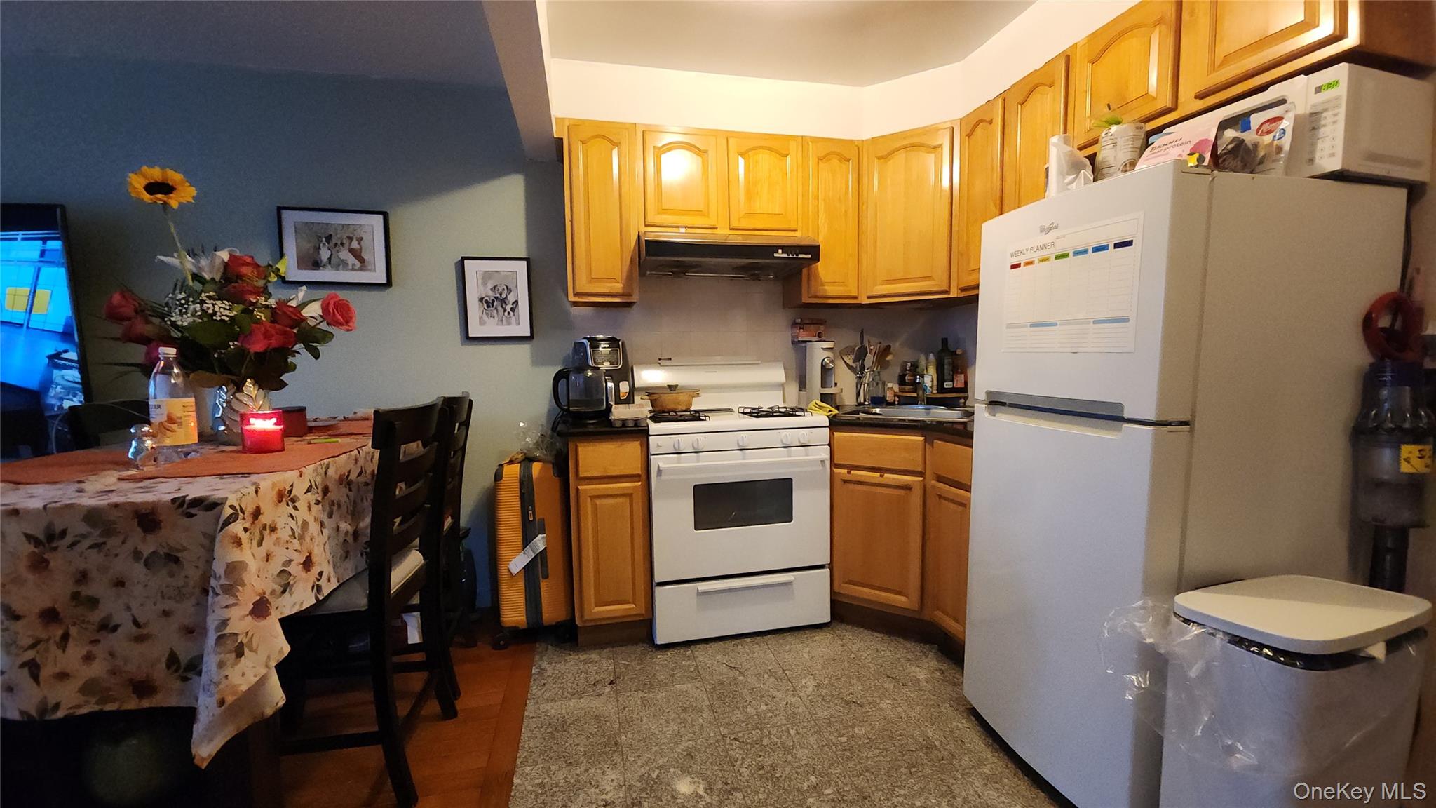 8432 Grand Avenue 2d Property Photo 4