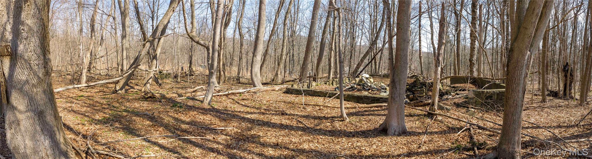 576 Holmes Road Property Photo 10