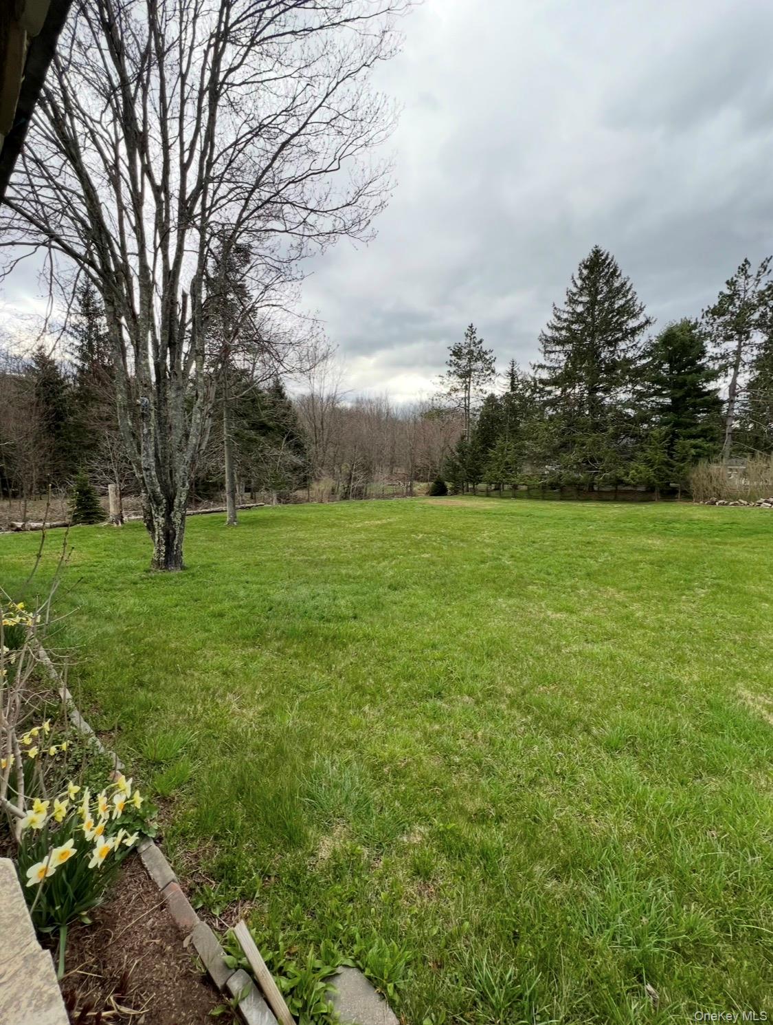 542 Mitchell Hollow Road Property Photo 19