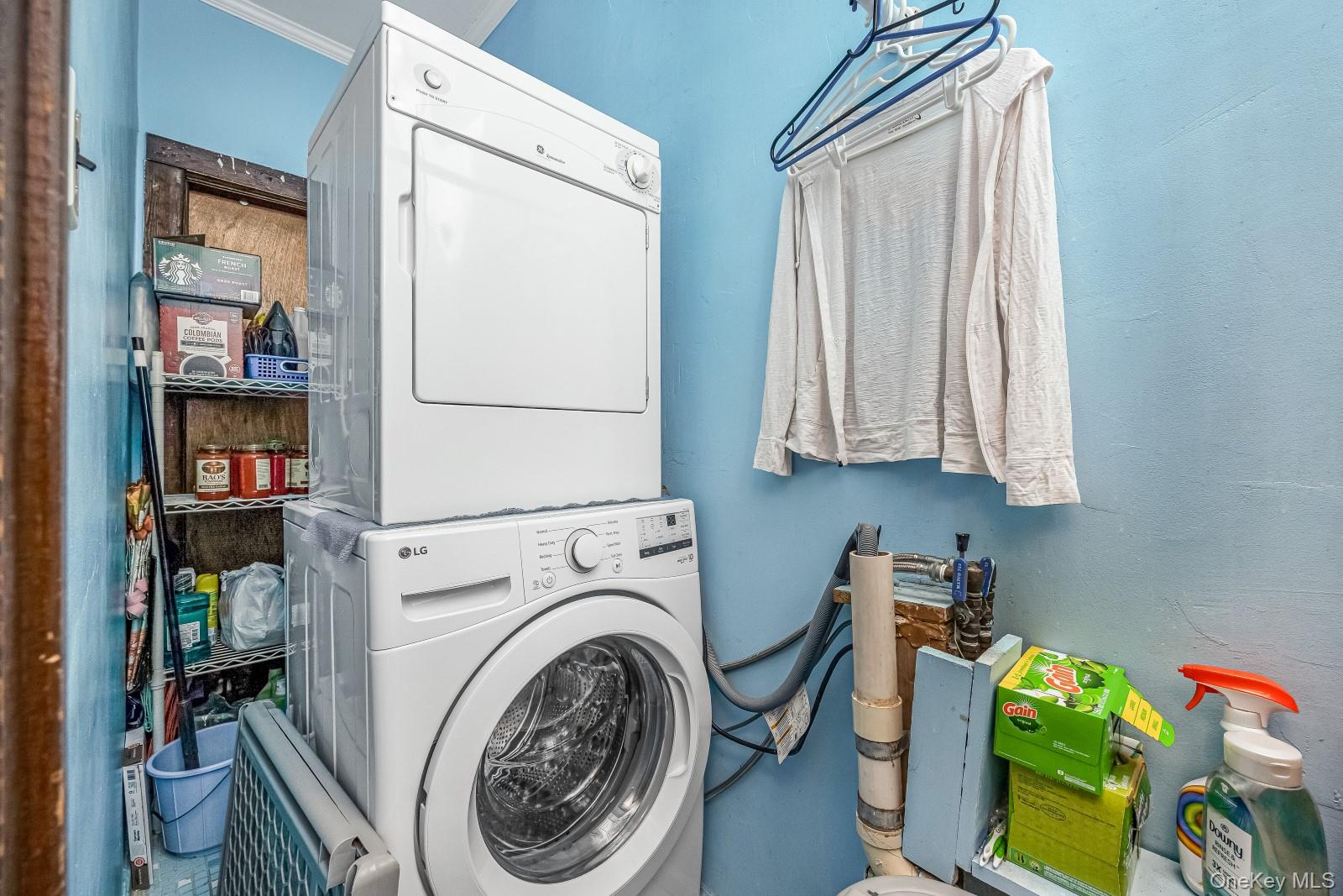 64-39 83rd Street Property Photo 25