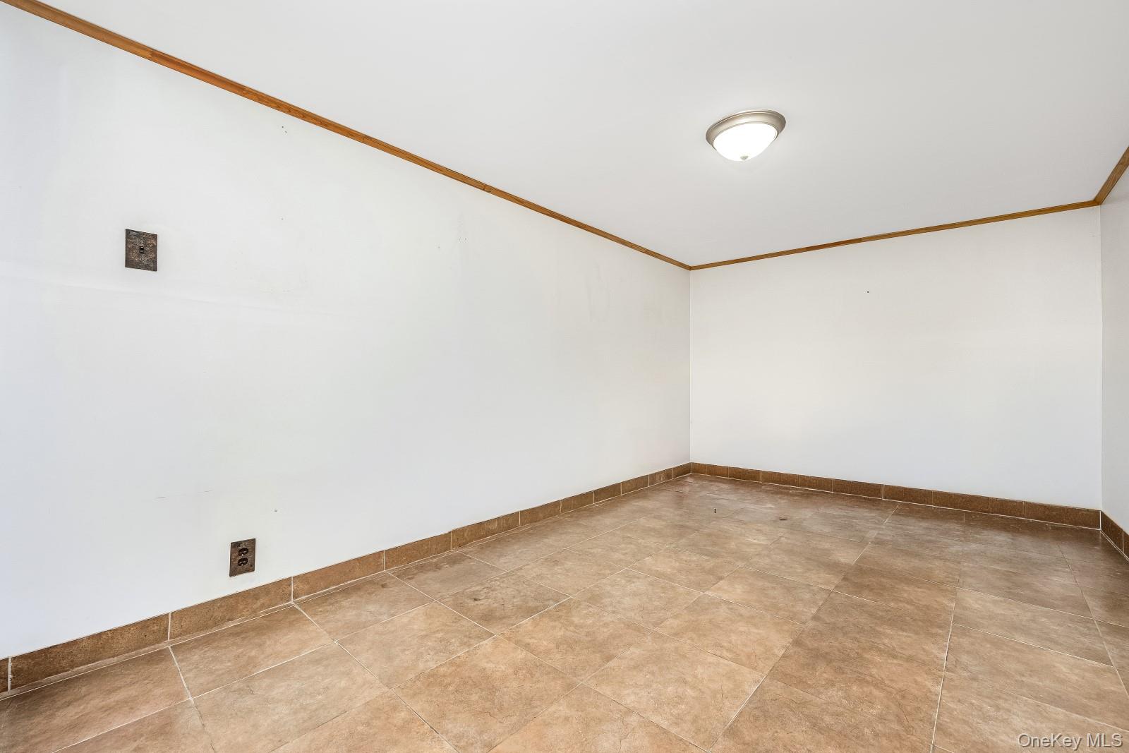 64-39 83rd Street Property Photo 30