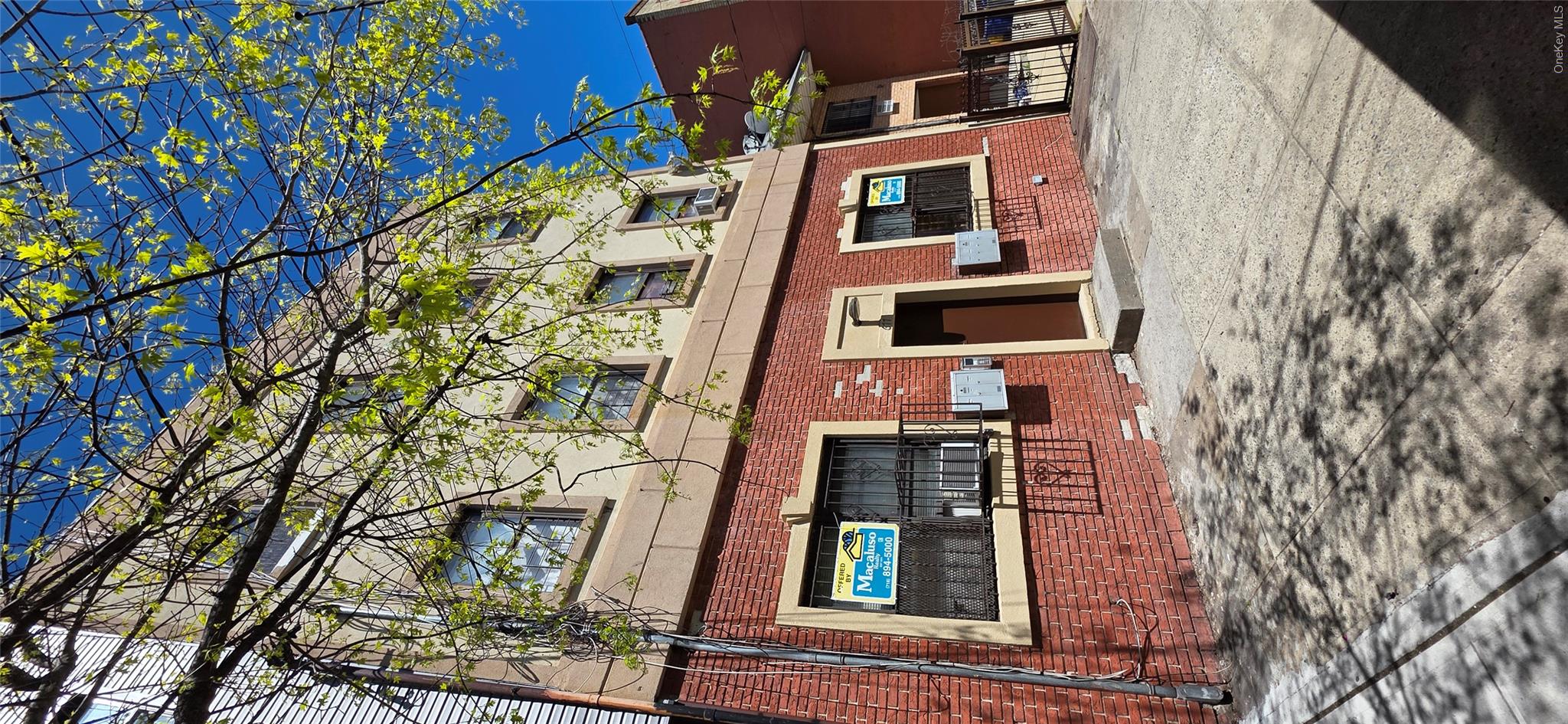 677 Glenmore Avenue Property Photo 3
