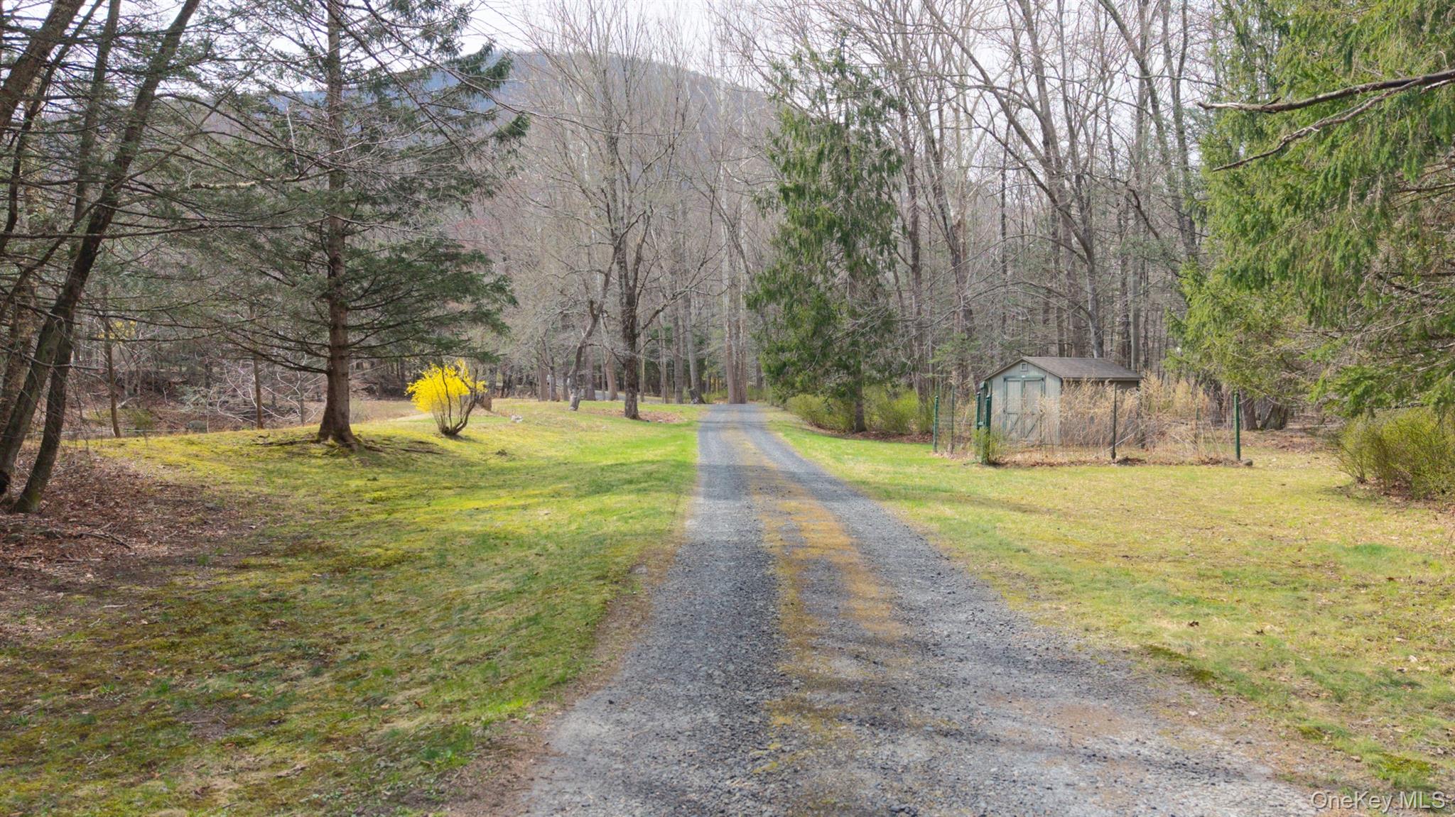 269 Watson Hollow Road Property Photo 5