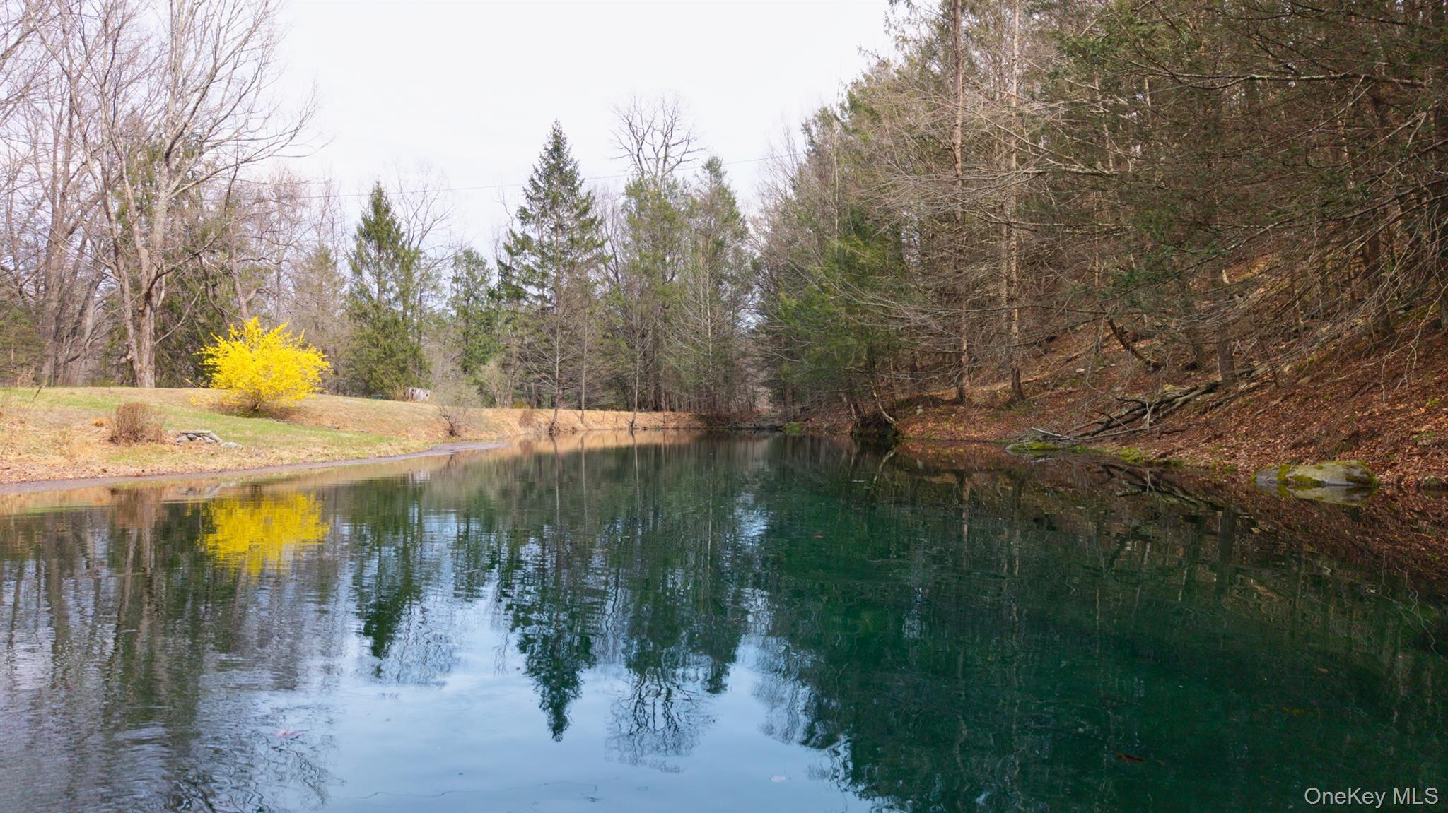 269 Watson Hollow Road Property Photo 45