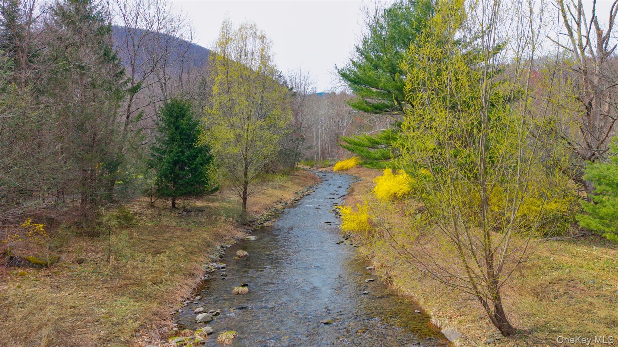 269 Watson Hollow Road Property Photo 47