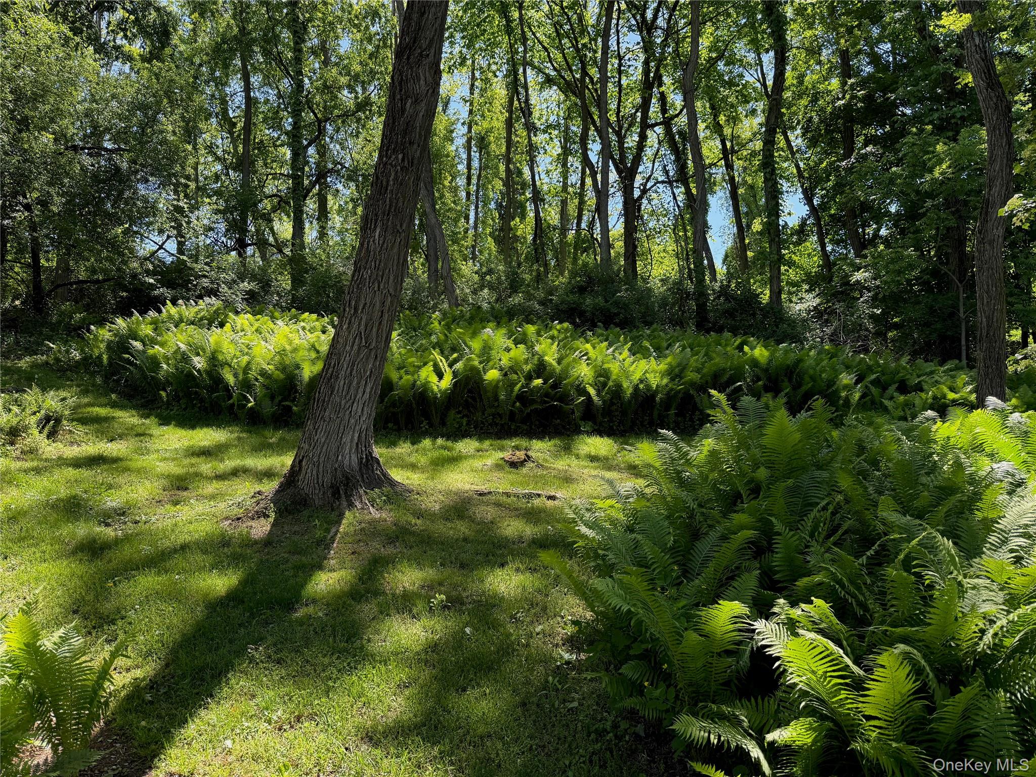20 Taintor Way Property Photo 21