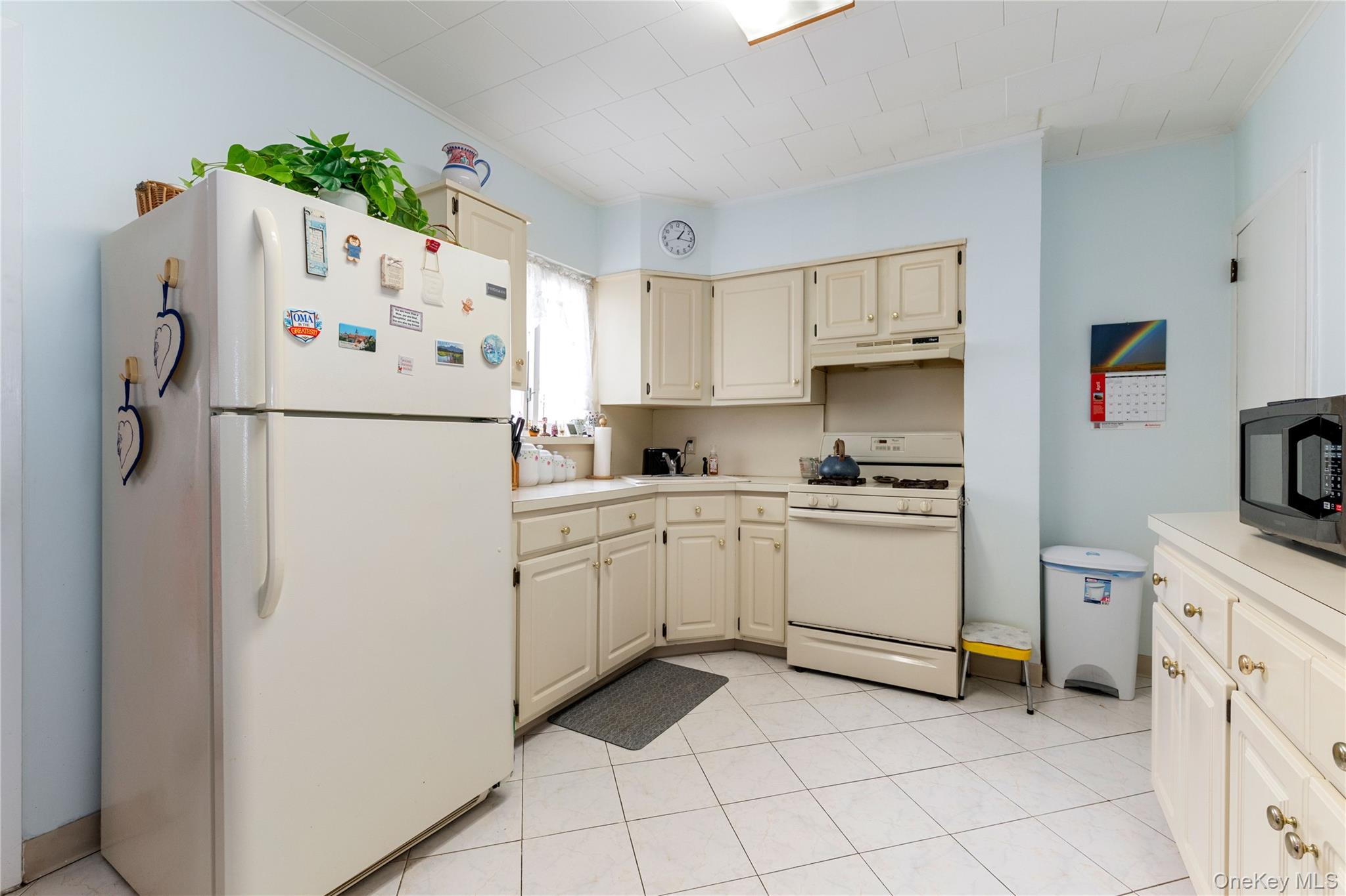 61-09 77th Street Property Photo 2