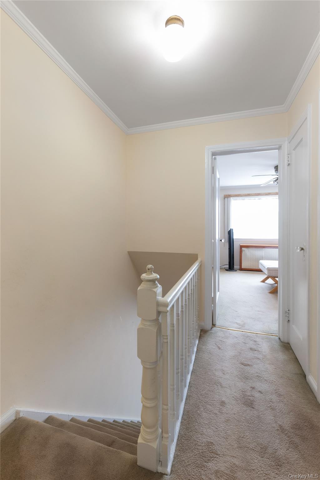 61-09 77th Street Property Photo 9