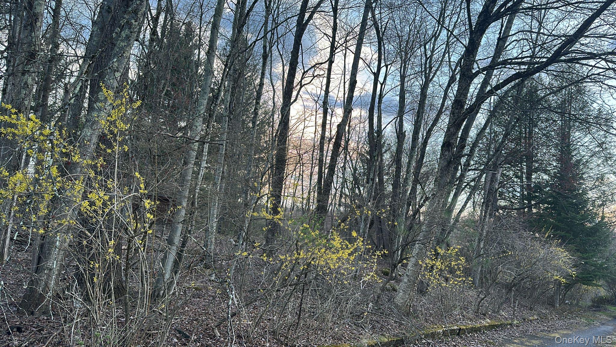 Tbd Diane Boulevard Property Photo 1