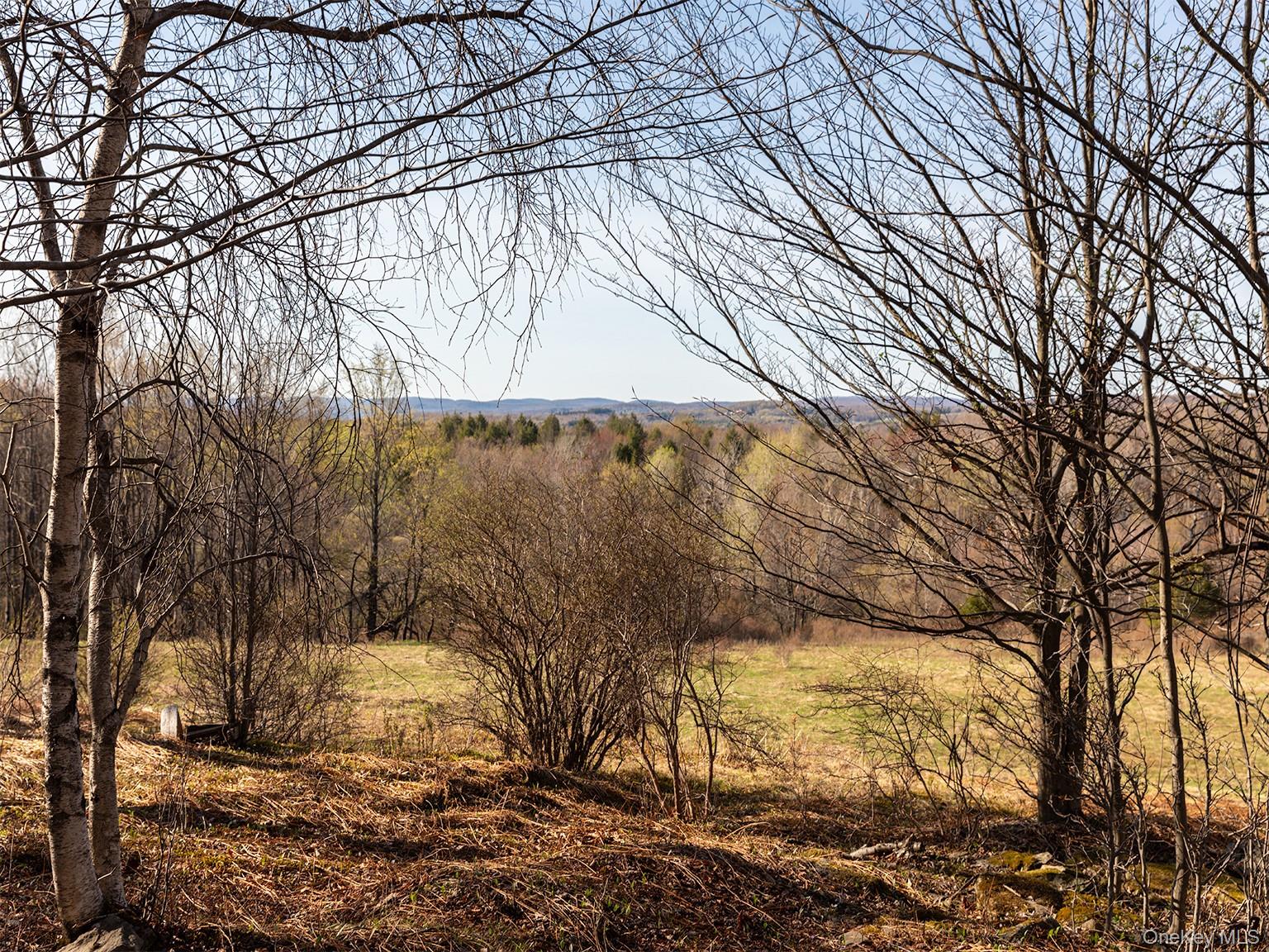 120 Snow Hill Road Property Photo 2