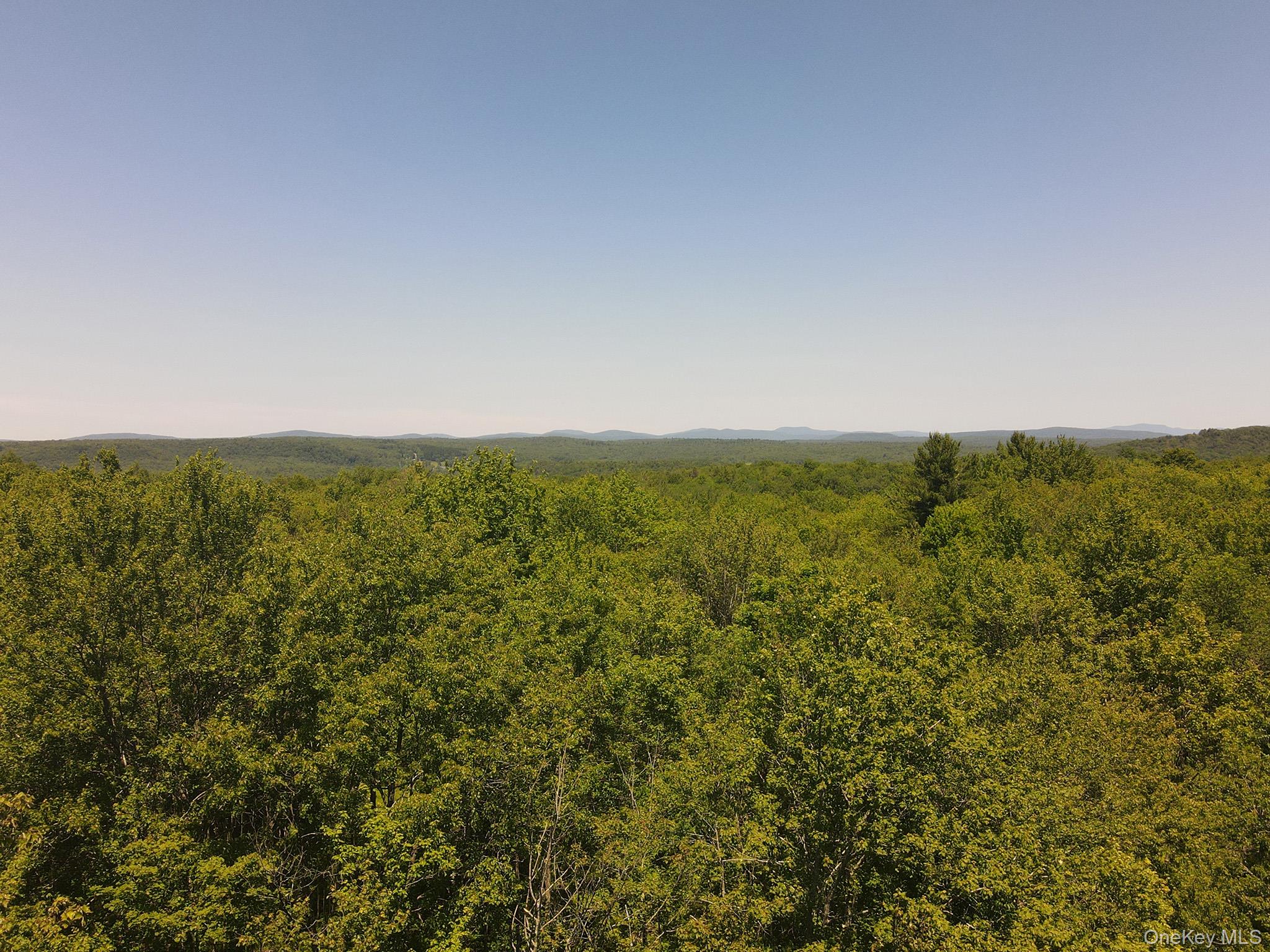 120 Snow Hill Road Property Photo 6