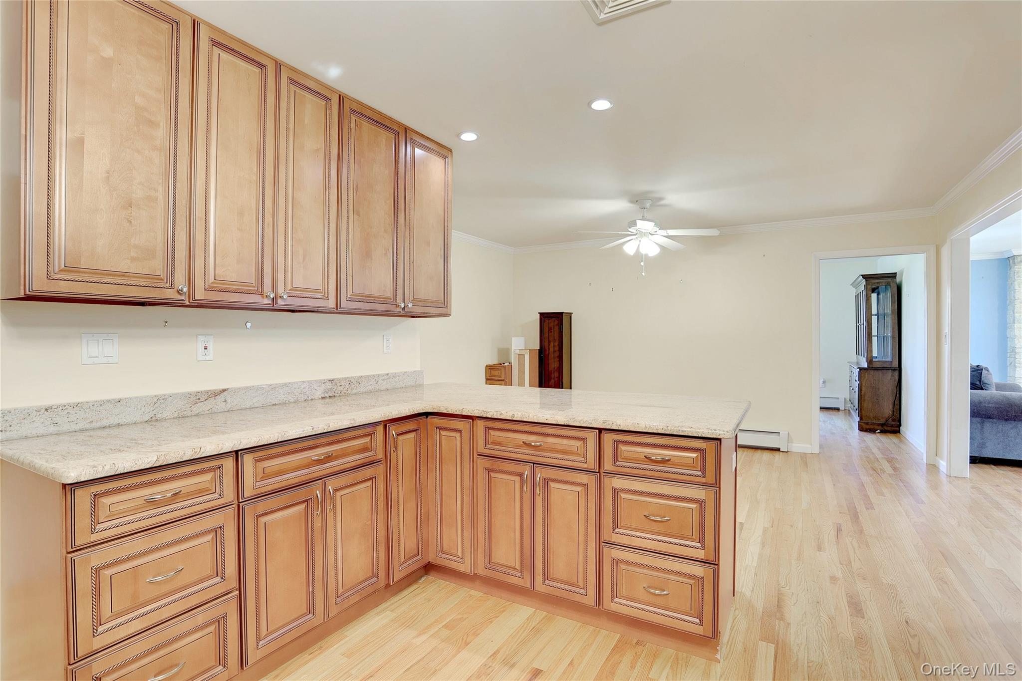 38 Manis Avenue Property Photo 13