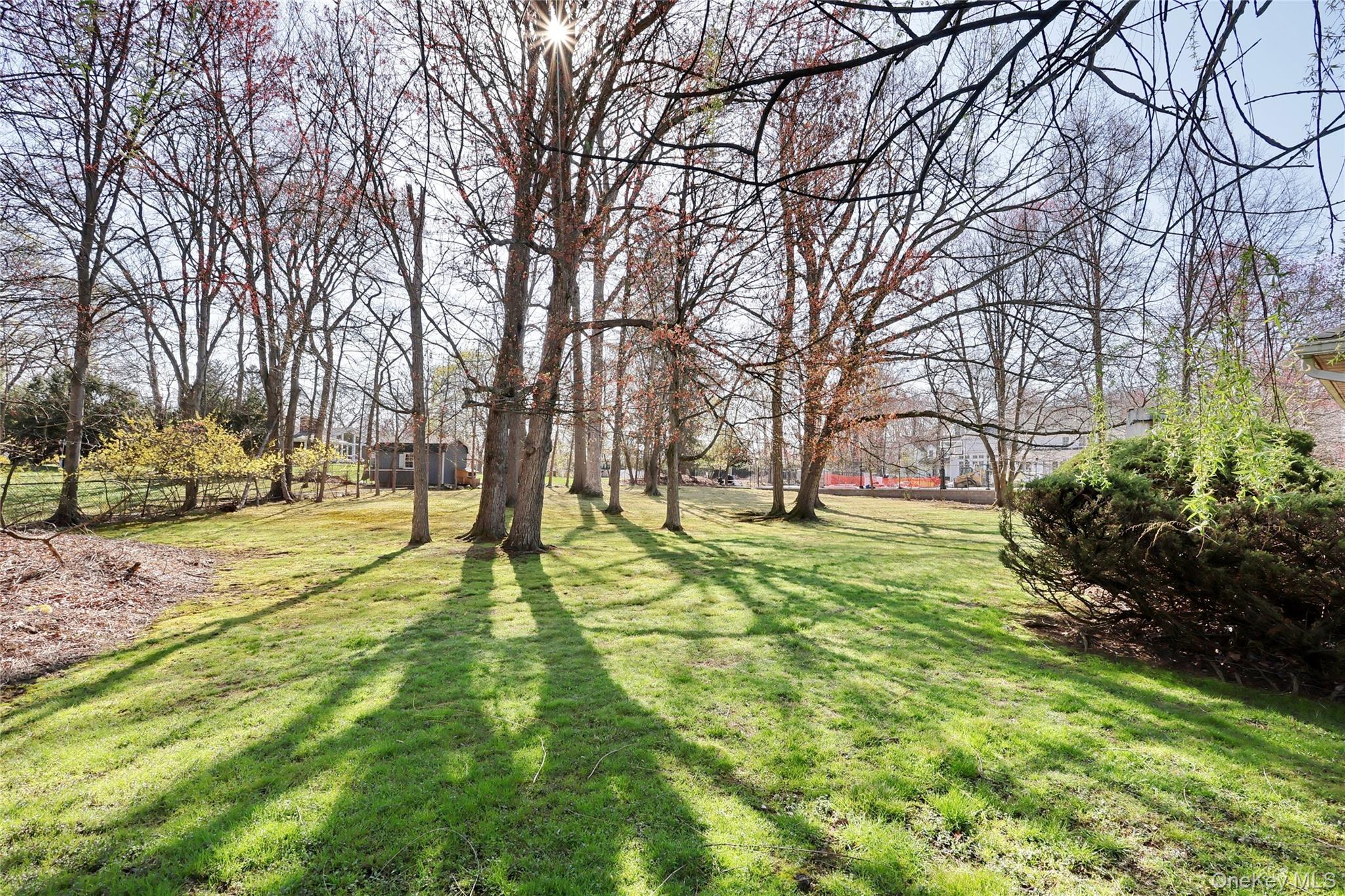 38 Manis Avenue Property Photo 38