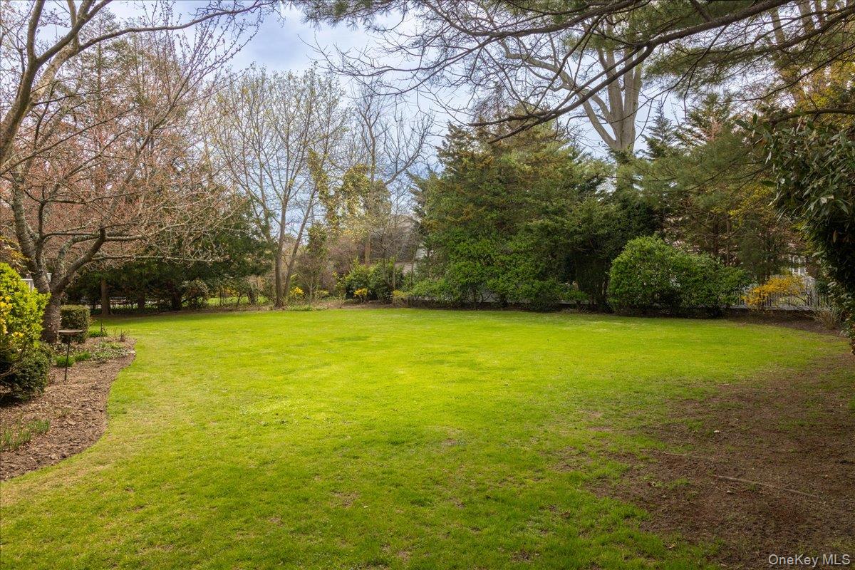 16 Middle Drive Property Photo 4