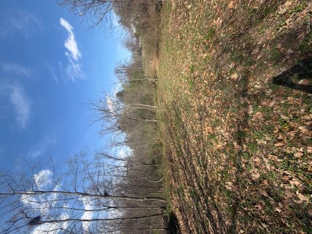 509 Route 9g Property Photo 3